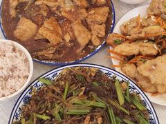 -金鹏鱼肉馆