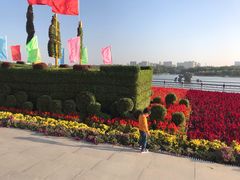 -大兴滨河森林公园