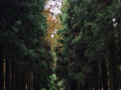 -山王坪喀斯特国家生态公园