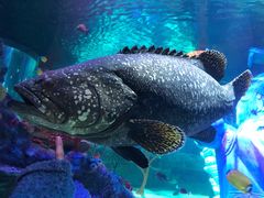 -沈阳海洋探索中心