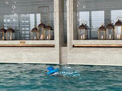 -成都华尔道夫酒店游泳池