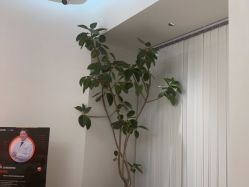 -WENDY·温迪皮肤管理