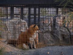 -武汉动物园