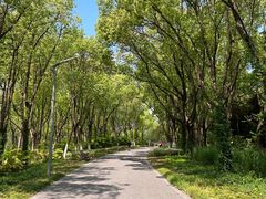 -昆山城市生态森林公园