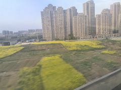 -庐州太太(双岗店)