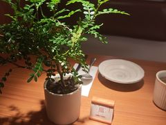 -CURRY YA 熟成咖哩專門店(深圳湾万象城店)
