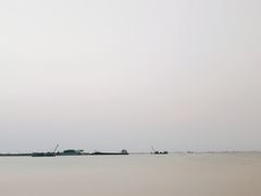 -万绿园