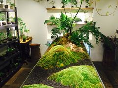 -植觉