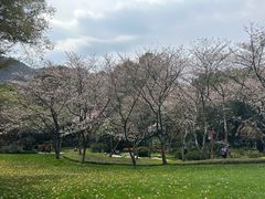 -中国茶叶博物馆(双峰馆区)