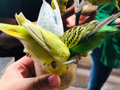 -哈尔滨波塞冬海底世界