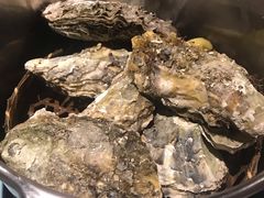 -海食焗(新光天地店)