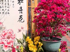 -成都市文化公园