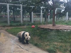 -西安秦岭野生动物园