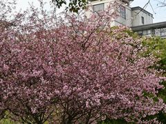 -江南大学(蠡湖校区)