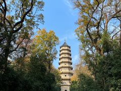 -灵谷景区