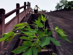 -飞天山旅游区