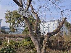 -会龙寺