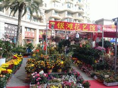 -碧桂园十里银滩