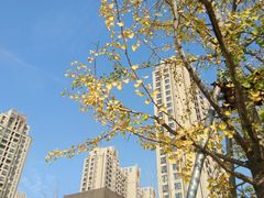 -海景壹号大酒店(滨湖店)