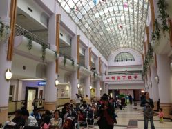 SS-上海交通大学医学院附属上海儿童医学中心(陆家嘴总院区)