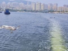 -拓恩帆船俱乐部