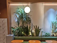 -奈雪的茶(石家庄万象城店)