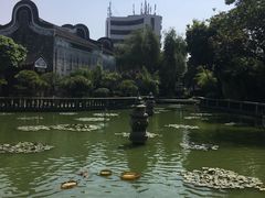 -碧江金楼