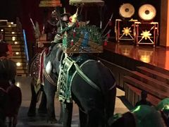 -东芭乐园