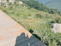 -白草畔自然风景区