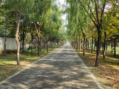 -咸阳湖景区-古渡公园