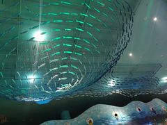 -青岛嘉年华主题乐园