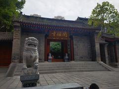 -罔极寺