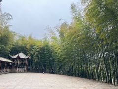 -宜兴龙背山森林公园