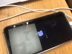 -Apple零售店(深圳益田假日广场店)