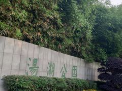 -汤湖公园