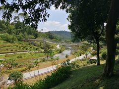 -东莞植物园