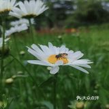 五月的花&初夏的风