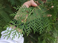 -十三陵山水雅园农家院