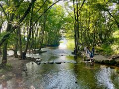-西溪南古村落景区