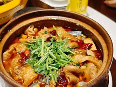 -雅酌园百姓菜馆(颐和路店)