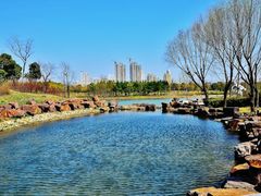 -尚贤河湿地