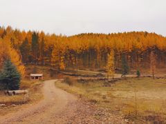 -塞罕坝国家级自然保护区