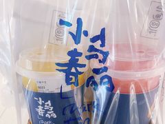 -春丽小马(济南恒隆广场店)