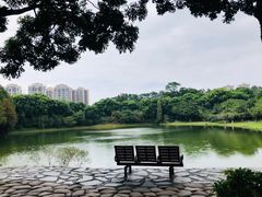 -东莞植物园