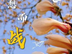 -丰台花园