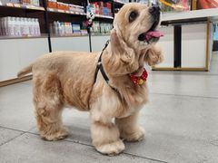 -全心全意动物诊疗中心医院(北苑店)