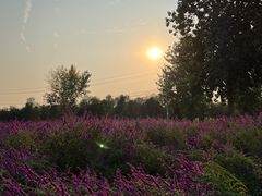 -汉长安城未央宫国家考古遗址公园