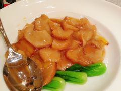 葱烧猴头菇-阿庄新豫菜(航海东路店)
