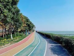 -贡湖湾湿地公园