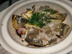 -广雅茶楼(柳州一店)